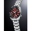 Grand Seiko Sport limited Edition Spring Drive GMT SBGE305