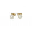 Sundrops Pearls | Ear Studs Yellow Gold | Pearl 6.5mm