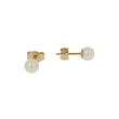 Sundrops Pearls | Ear Studs Yellow Gold | Pearl 5- 5.5mm