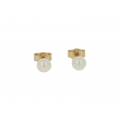Sundrops Pearls | Ear Studs Yellow Gold | Pearl 5- 5.5mm