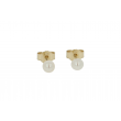 Sundrops Pearls | Ear Studs Yellow Gold | Pearl