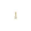 W | Diamond Pendant Yellow Gold | 0.30ct