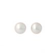 Sundrops | Ear Studs Yellow Gold | Pearl
