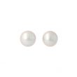 Sundrops  | Ear Studs Yellow Gold | Pearl