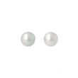 Sundrops | Ear Studs Yellow Gold | Pearl