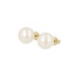 Sundrops | Ear Studs Yellow Gold | Pearl