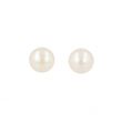 Sundrops | Ear Studs Yellow Gold | Pearl