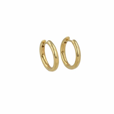 Be | Earrings 14 Carat Yellow gold | Ø16.5 mm