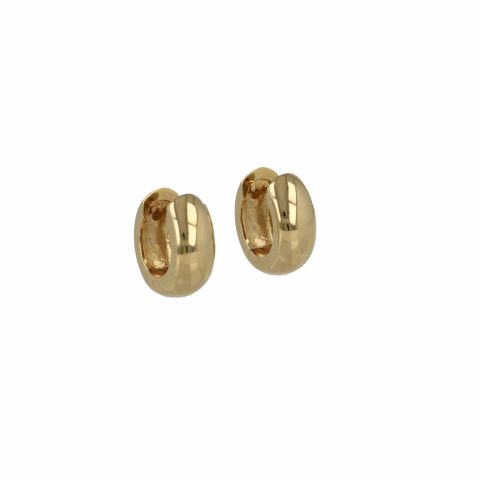 Be | Earrings 14 Carat Yellow gold | Ø14 x 6 mm